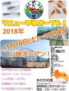 めだかの里リニューアルオープンに行ってきた！